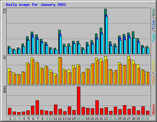 Daily usage for January 2021