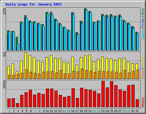 Daily usage for January 2023