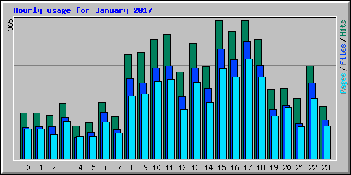 Hourly usage for January 2017