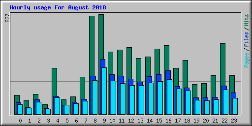 Hourly usage for August 2018