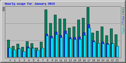 Hourly usage for January 2019