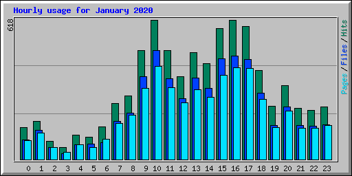 Hourly usage for January 2020