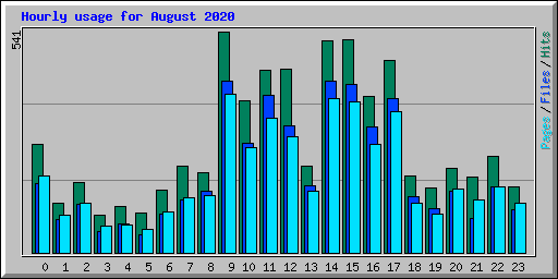 Hourly usage for August 2020