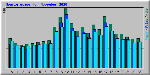 Hourly usage for November 2020
