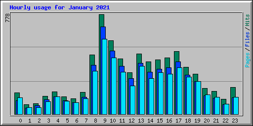 Hourly usage for January 2021