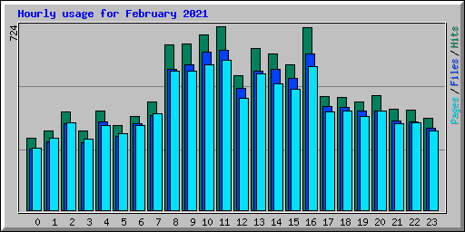 Hourly usage for February 2021