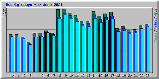 Hourly usage for June 2021