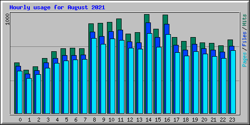 Hourly usage for August 2021
