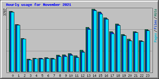 Hourly usage for November 2021