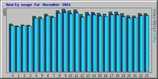 Hourly usage for December 2021