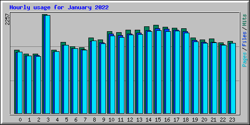 Hourly usage for January 2022