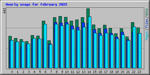 Hourly usage for February 2022