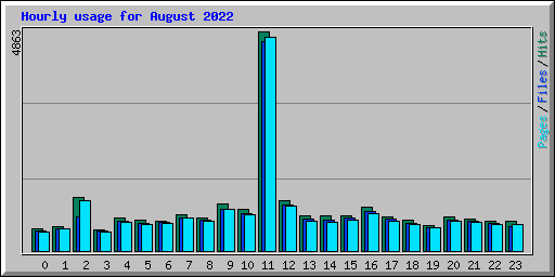 Hourly usage for August 2022