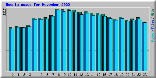 Hourly usage for November 2022