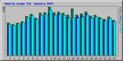 Hourly usage for January 2023