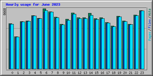 Hourly usage for June 2023