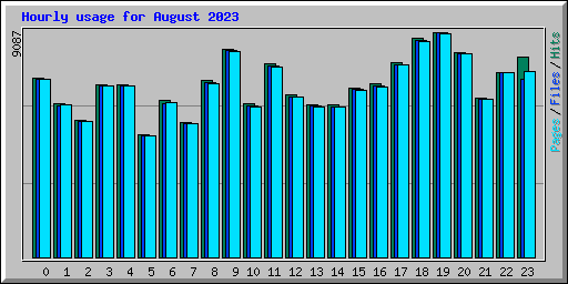 Hourly usage for August 2023